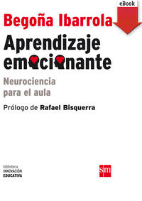 Aprendizaje emocionante (ebook - epub), de Ibarrola, Begon~a | portada del libro