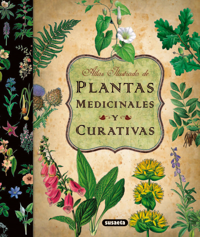 Plantas medicinales y curativas, de Susaeta | portada del libro