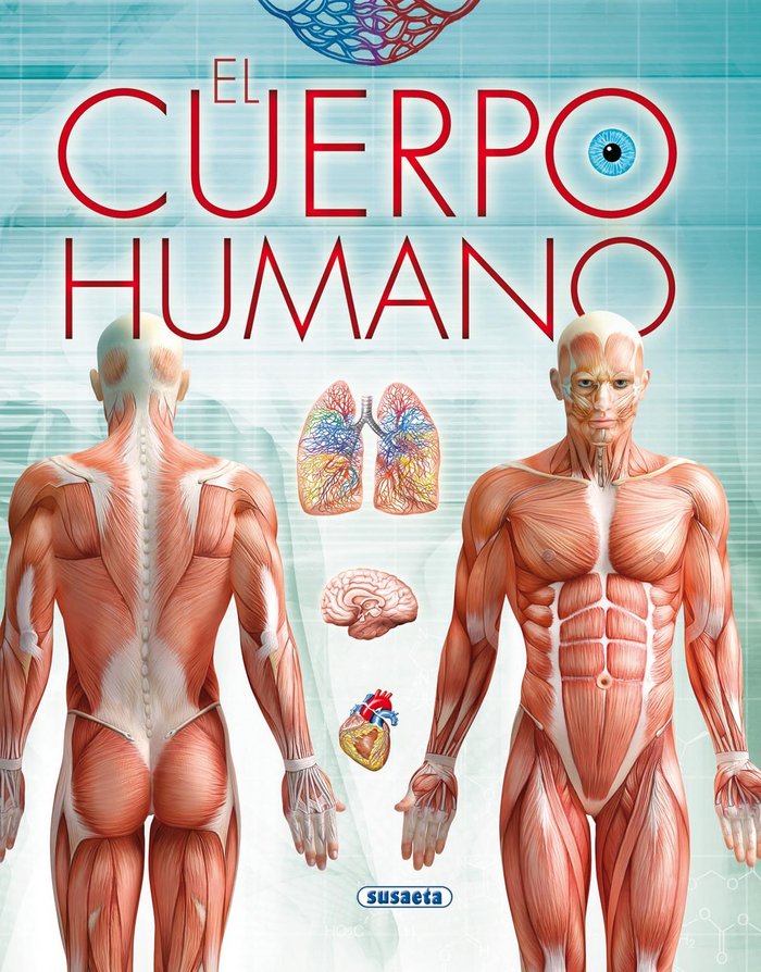 El cuerpo humano, de Susaeta | portada del libro