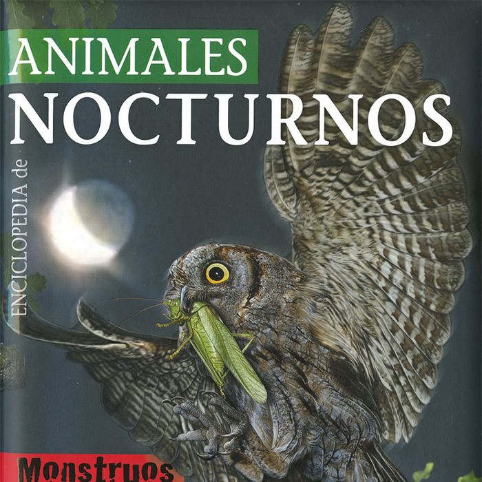 Animales nocturnos, de Rodríguez, Carmen | portada del libro