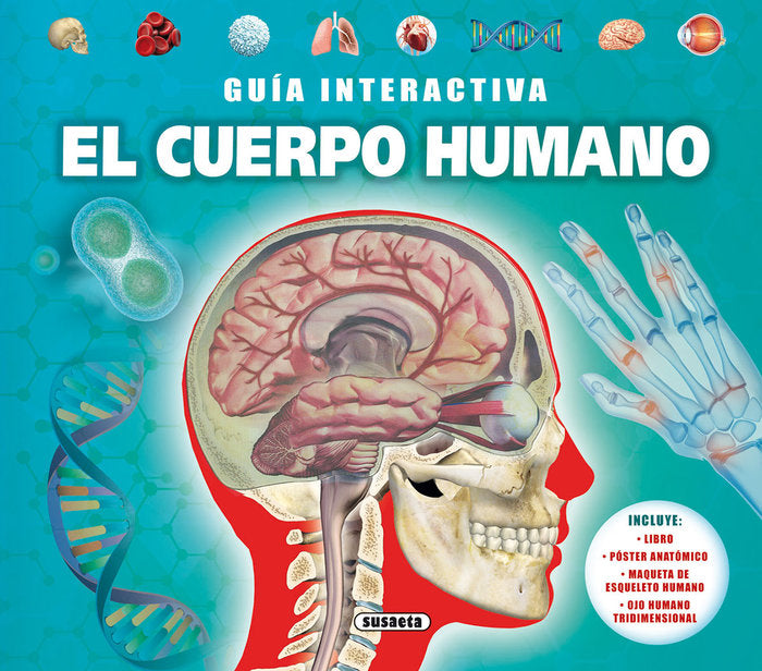 EL CUERPO HUMANO, de DE LA BEDOYERE | portada del libro