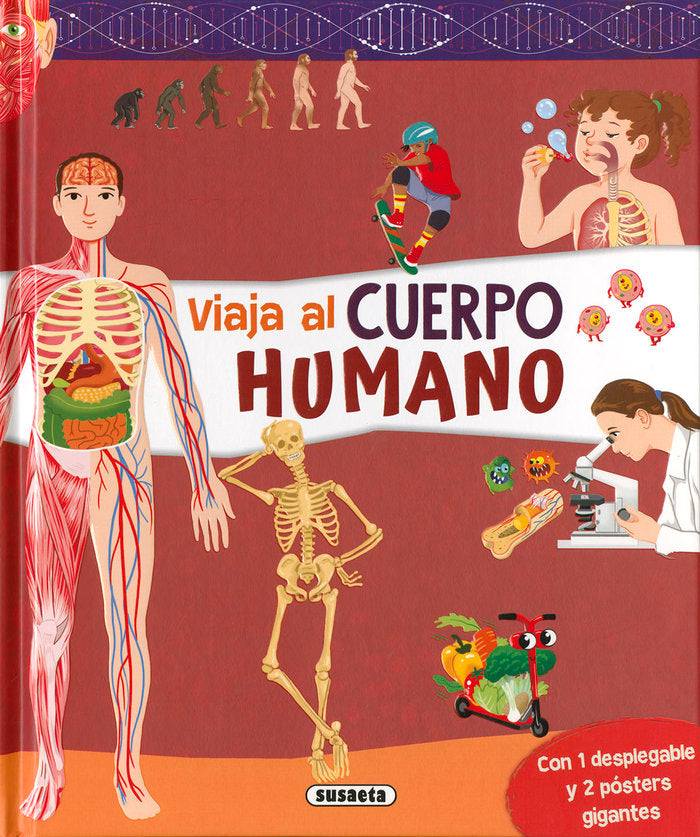CUERPO HUMANO, de EDICIONES, SUSAETA | portada del libro