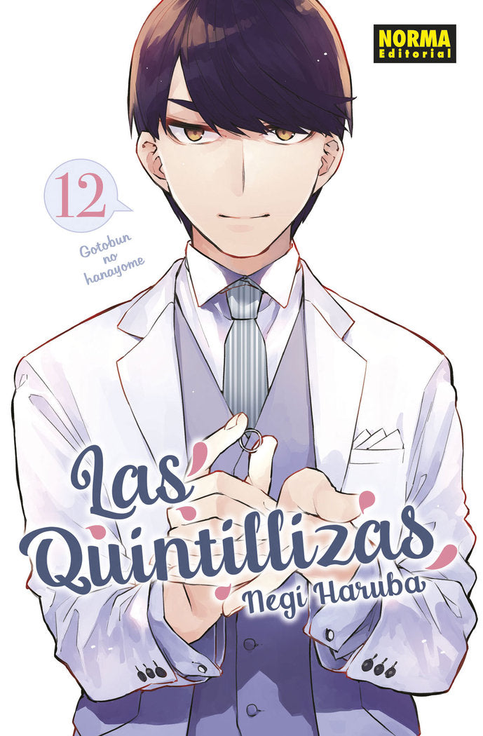 LAS QUINTILLIZAS 12 | portada del libro