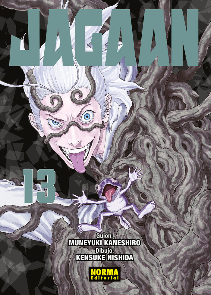 JAGAAN 13, de MUNEYUKI KANESHIRO#KENSUKE NISHIDA | portada del libro
