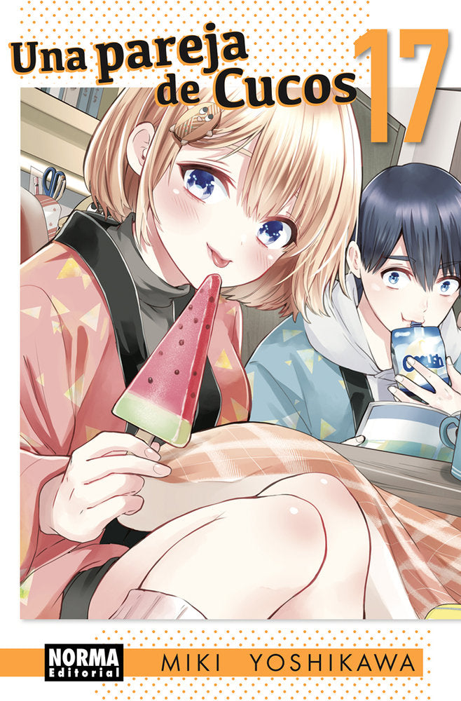 UNA PAREJA DE CUCOS 17, de YOSHIKAWA | portada del libro