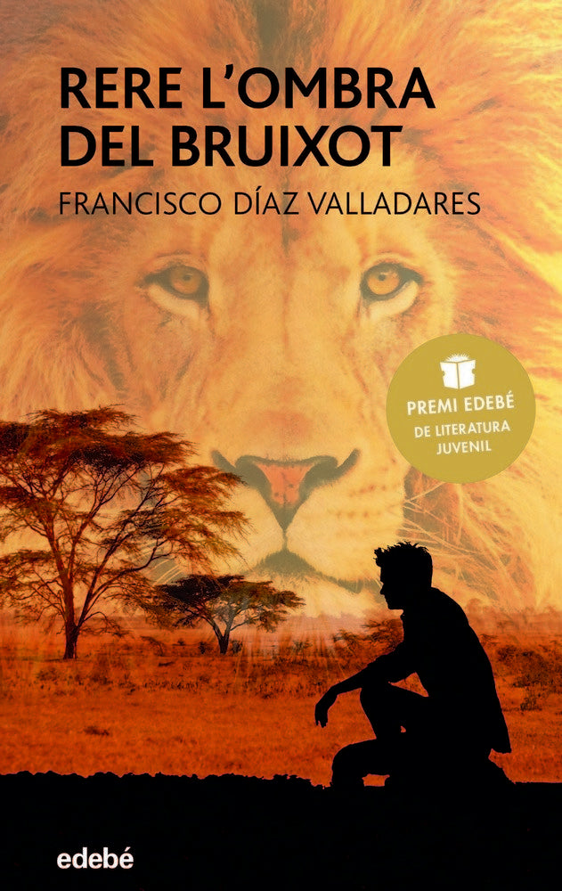 RERE L'OMBRA DEL BRUIXOT, de DíAZ VALLADARES, FRANCISCO | portada del libro