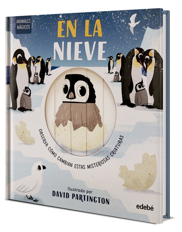 ANIMALES MAGICOS EN LA NIEVE, de CLARK, NEIL | portada del libro