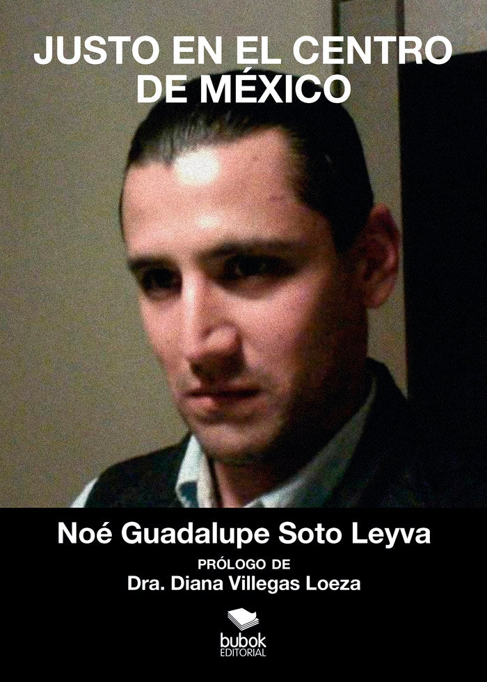 Justo en el centro de México, de Guadalupe Soto Leyva, Noé | portada del libro