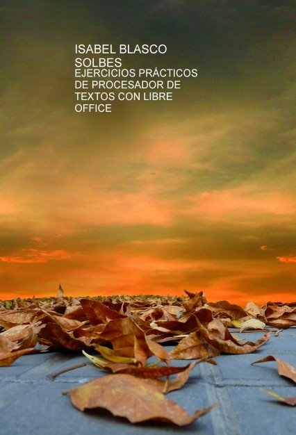 EJERCICIOS PRÁCTICOS DE PROCESADOR DE TEXTOS CON LIBRE OFFICE, de BLASCO,ISABEL | portada del libro