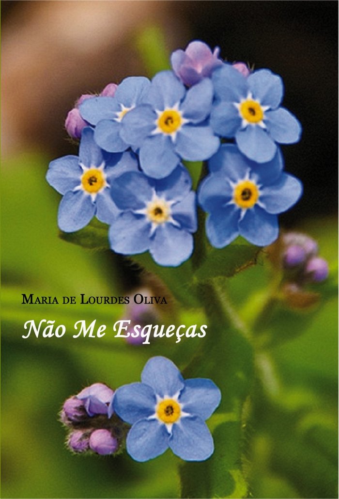 NAO ME ESQUECAS, de MARIA DE LOURDES OLIVA | portada del libro