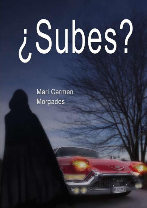¿Subes?, de Morgades Carmen, Mari | portada del libro