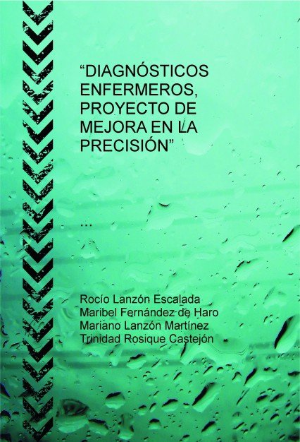 ?DIAGNOSTICOS ENFERMEROS, PROYECTO DE MEJORA EN LA PRECISION?, de ESCALADA LANZON, ROCIO | portada del libro