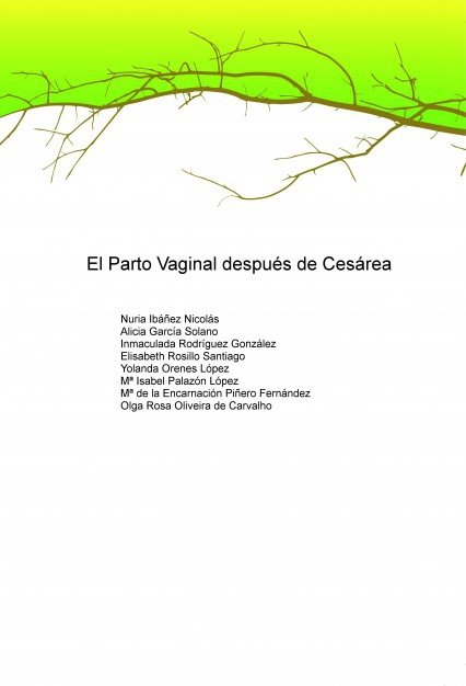 EL PARTO VAGINAL DESPUÉS DE CESÁREA, de OLIVEIRA DE CARVALHO, OLGA ROSA | portada del libro