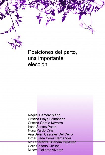 Posiciones del parto, una importante elección, de Marín Camero, Raquel | portada del libro