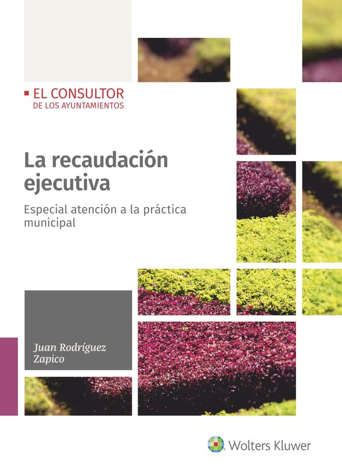 LA RECAUDACION EJECUTIVA, de RODRIGUEZ ZAPICO, JUAN | portada del libro