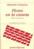 Flores en la cuneta, de Alejandro Céspedes | portada del libro