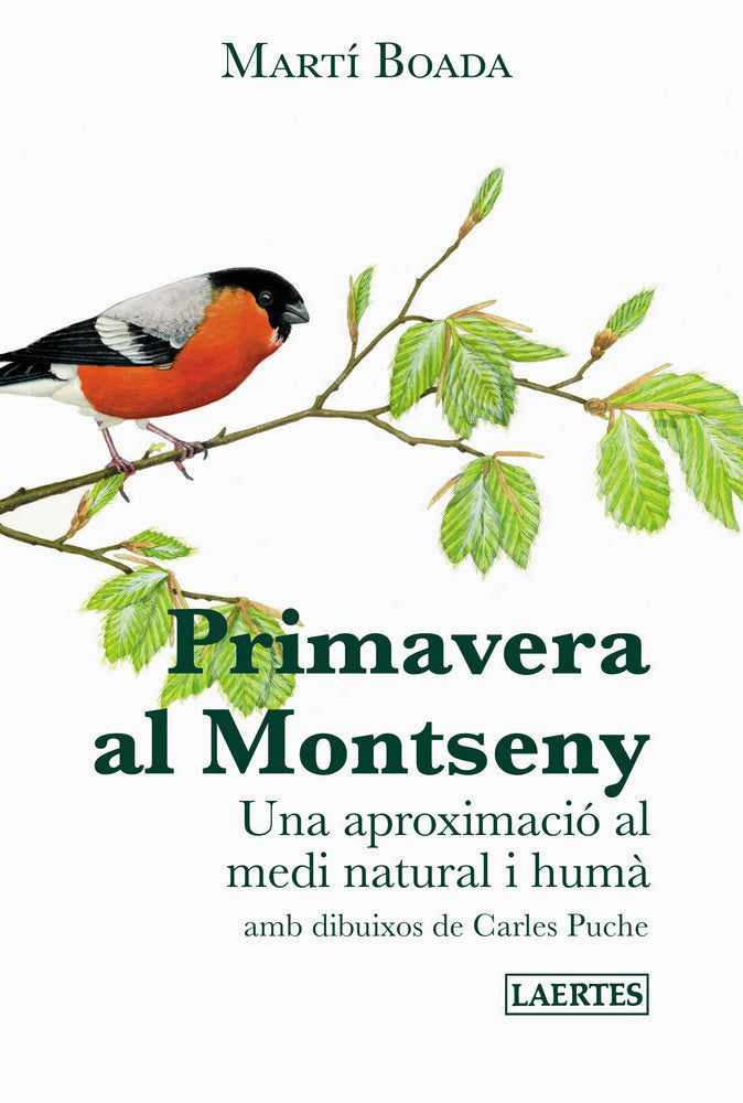 PRIMAVERA AL MONTSENY, de Boada i Juncà | portada del libro