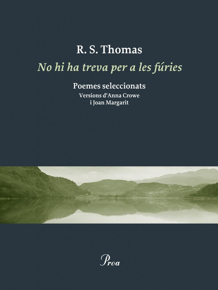 No hi ha treva per a les fúries, de R. S. | portada del libro