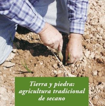 Tierra y piedra, de Gros Santasusana, Alba | portada del libro