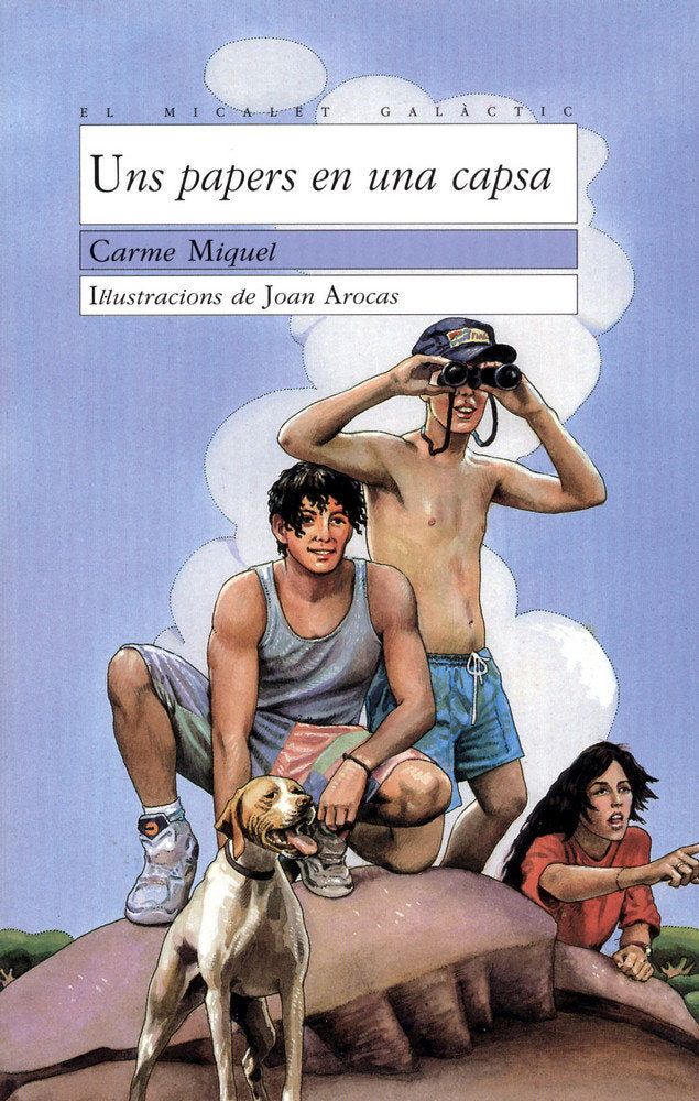 Uns papers en una capsa, de Miquel Diego, Carme | portada del libro