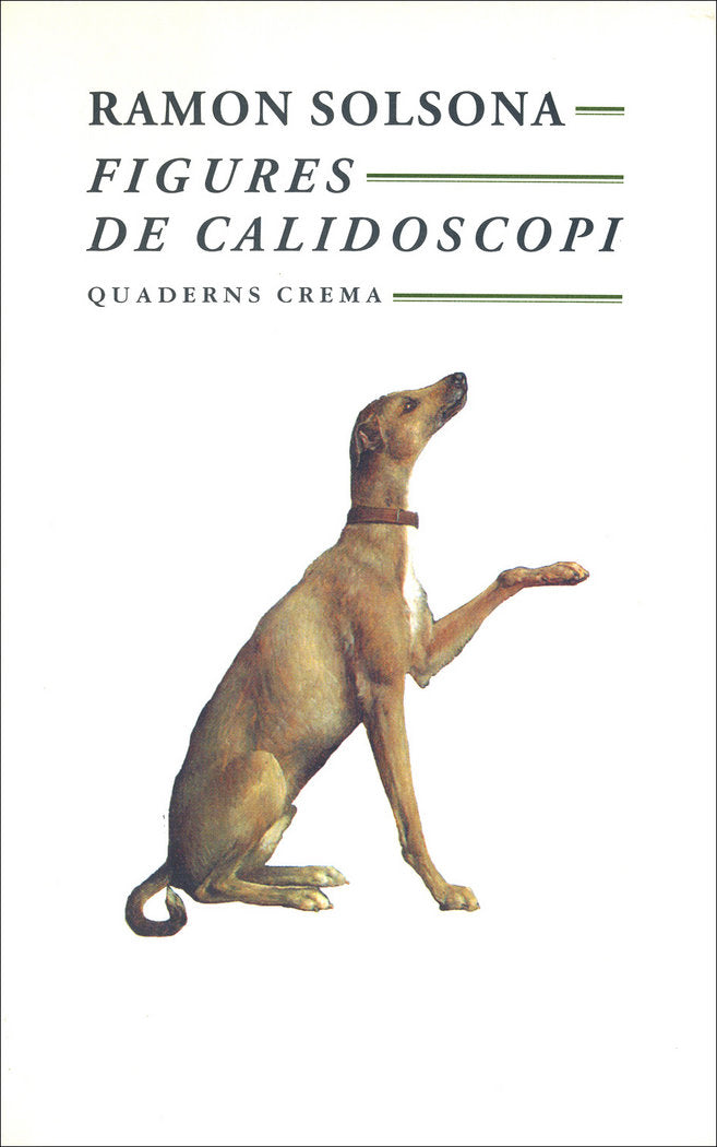 FIGURES DE CALIDOSCOPI, de SOLSONA | portada del libro