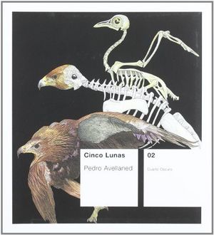 Cinco lunas, de Avellaned Ruiz | portada del libro