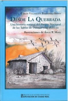 DESDE LA QUEBRADA, de VILLANUEVA FERNANDEZ-BRAVO, CARLOS | portada del libro