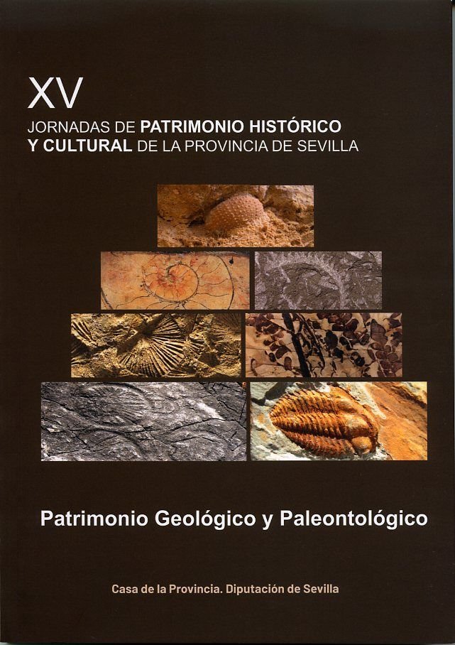 ACTAS DE LAS XV JORNADAS DE PATRIMONIO HISTORICO Y CULTURAL DE LA PROVINCIA DE S, de VV., AA. | portada del libro