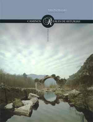 CAMINOS REALES DE ASTURIAS (ZONA CENTRAL), de PISA MENENDEZ | portada del libro