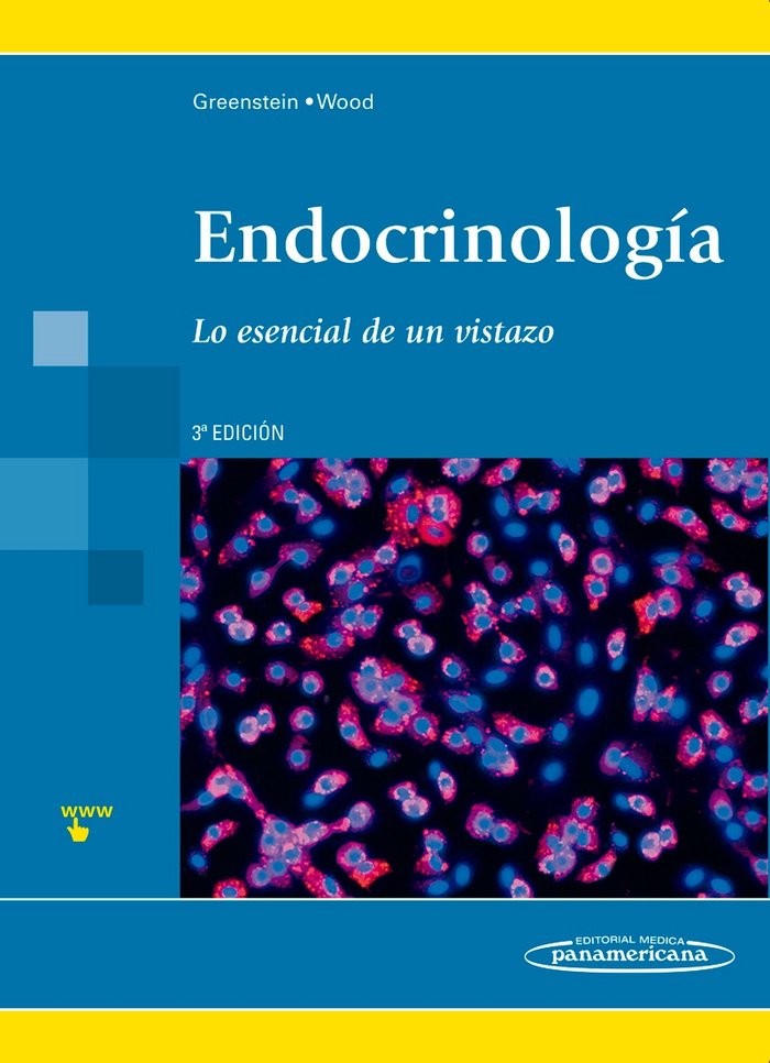 GREENSTEIN:EndocrinologÆa 3 Ed, de GREENSTEIN, BEN | portada del libro