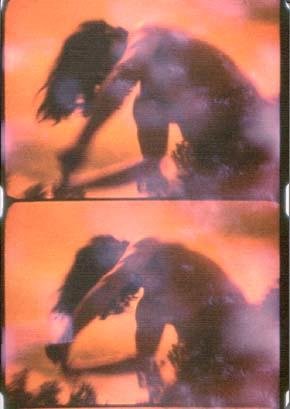Stan Brakhage | portada del libro