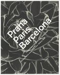JOSEP TAPIRO, de CARBONELL, JORDI ·. | portada del libro