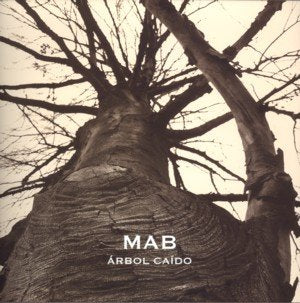 Miguel Ángel Blanco. Árbol caído, de BLANCO SANTURDE, MIGUEL ANGEL | portada del libro