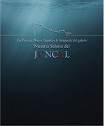 LA FLOTA DE NUEVA ESPAÑA Y LA BUSQUEDA DEL GALEON NUESTRA SEÑORA DEL JVNCAL, de VV AA | portada del libro