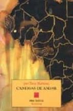 CANTIGAS DE ANDAR PT-289, de José Tono Martínez | portada del libro