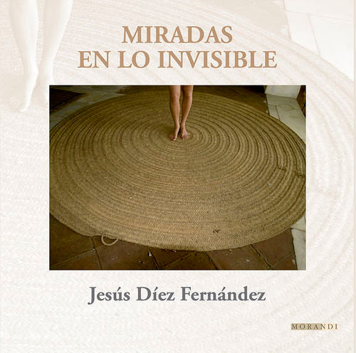 Miradas en lo invisible, de JESúS DíEZ FERNáNDEZ | portada del libro