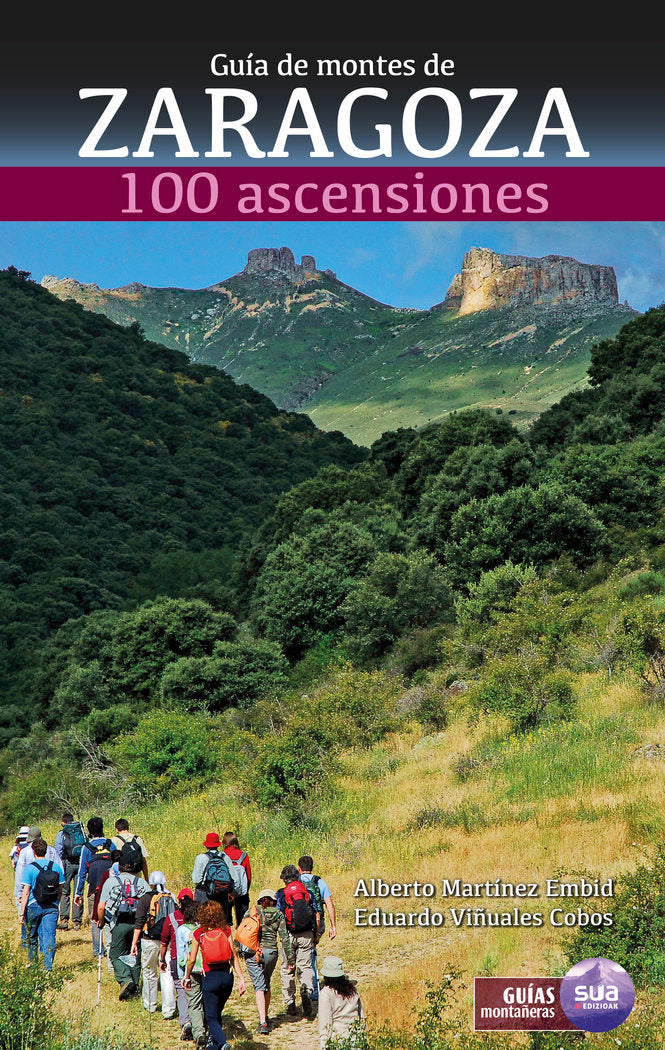 Montes de Zaragoza, de Viñuales Cobos, Eduardo | portada del libro