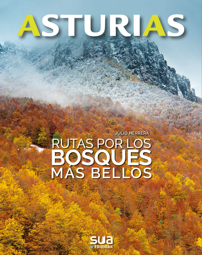 Rutas por los bosques más bellos, de Herrera Menendez, Julio | portada del libro