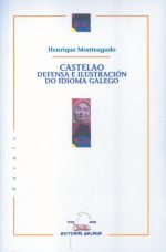 Castelao defensa e ilustracion do idioma galego, de Monteagudo, Henrique | portada del libro