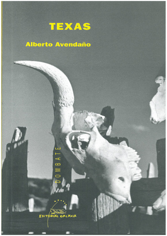 Texas, de Avendaûo, Alberto | portada del libro