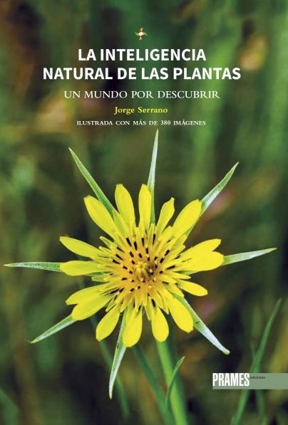 LA INTELIGENCIA NATURAL DE LAS PLANTAS, de SERRANO, JORGE | portada del libro