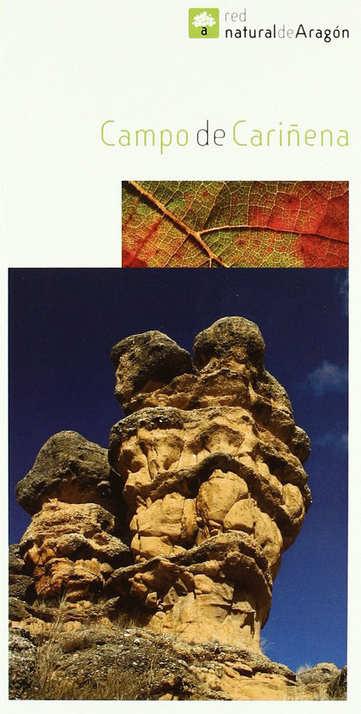 CAMPO DE CARIÑENA, de Eduardo Viñuales Cobos | portada del libro