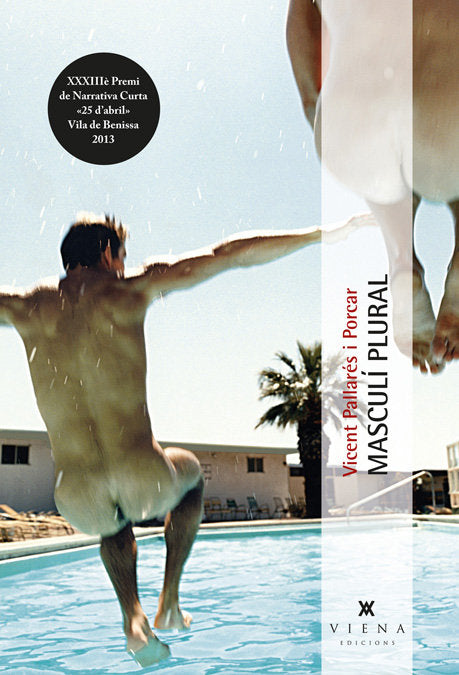 Masculí plural, de Pallarés i Porcar, Vicent | portada del libro