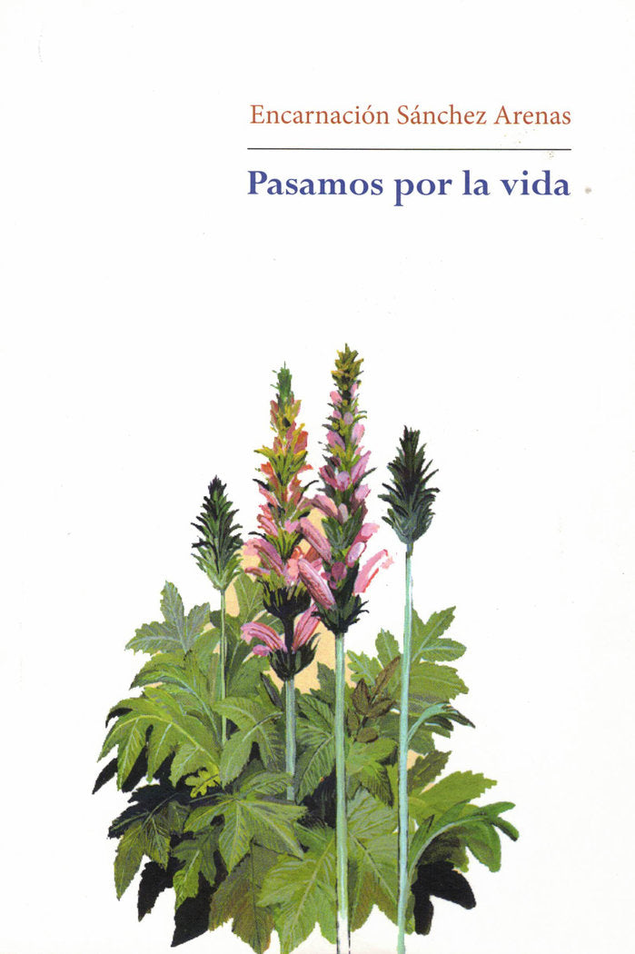 Pasamos por la vida, de Sánchez Arenas, Encarnación | portada del libro