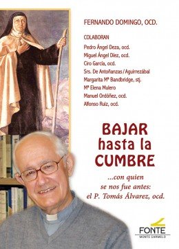 Bajar hasta la cumbre, de Domingo Domingo | portada del libro