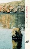 39° a la sombra, de Vicens Picornell | portada del libro