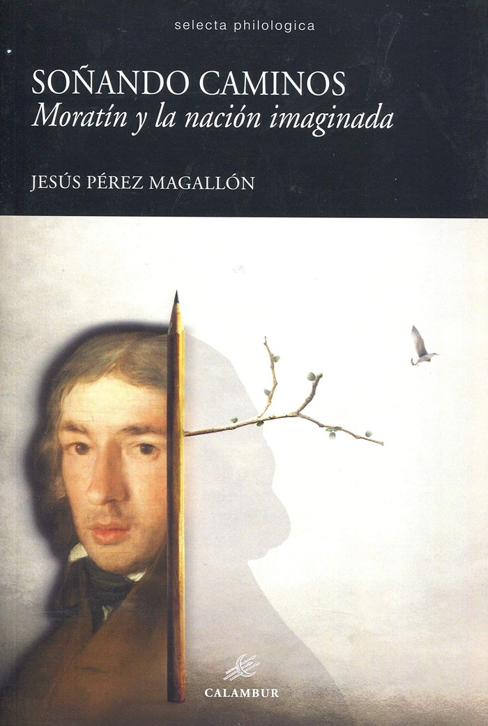 SOÑANDO CAMINOS, de PEREZ MAGALLON, JESUS | portada del libro