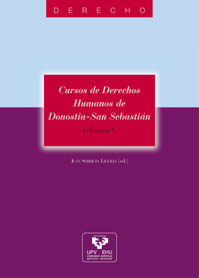 CURSOS DERECHO HUMANOS VOL.6 CONFLICTOS PROTECCION D.HUMANOS, de SOROETA LICERAS,JUAN | portada del libro