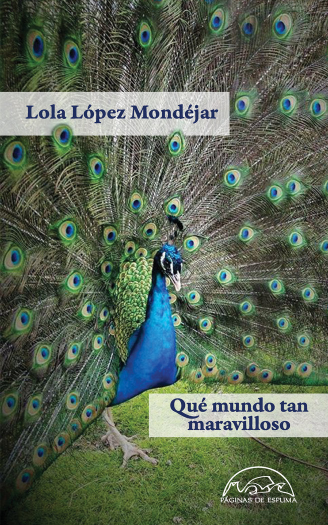 Qué mundo tan maravilloso, de López Mondéjar, Lola | portada del libro