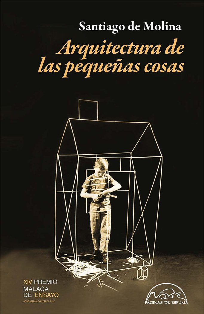 ARQUITECTURA DE LAS PEQUEÑAS COSAS, de DE MOLINA, SANTIAGO | portada del libro